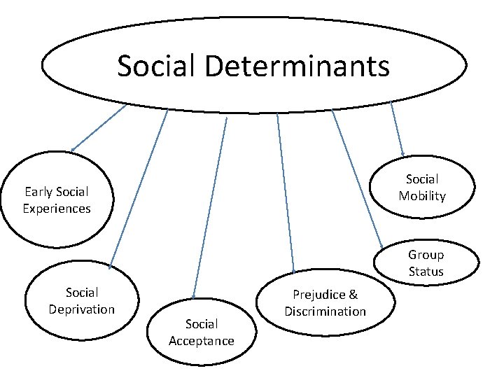 Social Determinants Social Mobility Early Social Experiences Group Status Social Deprivation Social Acceptance Prejudice