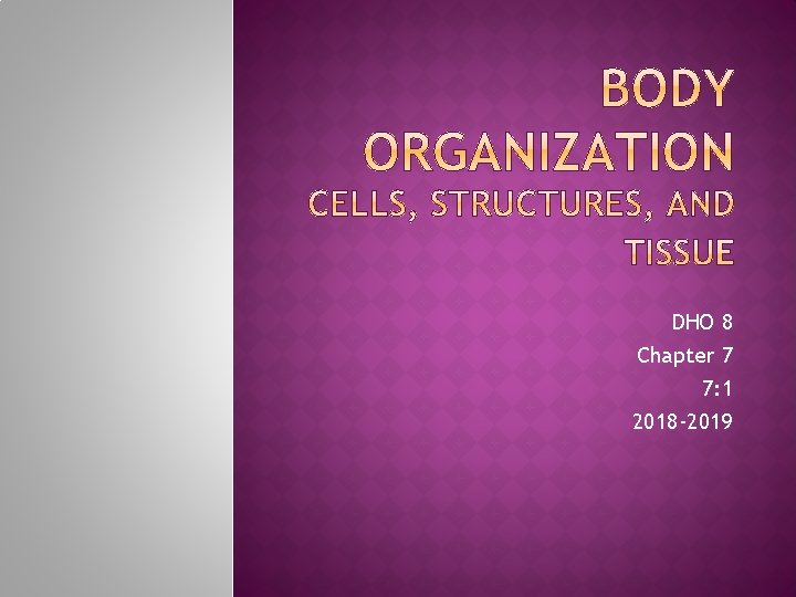 DHO 8 Chapter 7 7: 1 2018 -2019 