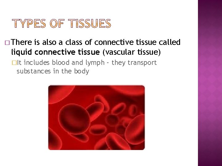 � There is also a class of connective tissue called liquid connective tissue (vascular