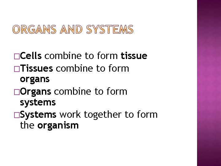 �Cells combine to form tissue �Tissues combine to form organs �Organs combine to form