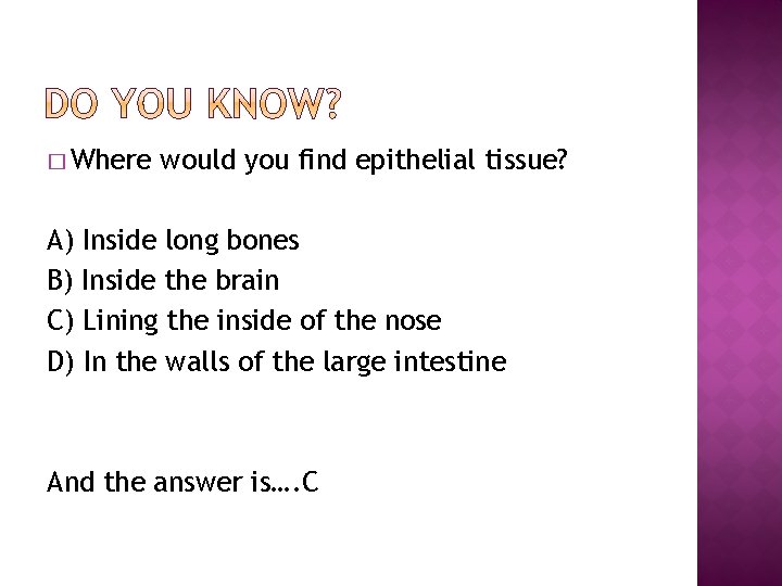 � Where would you find epithelial tissue? A) Inside long bones B) Inside the