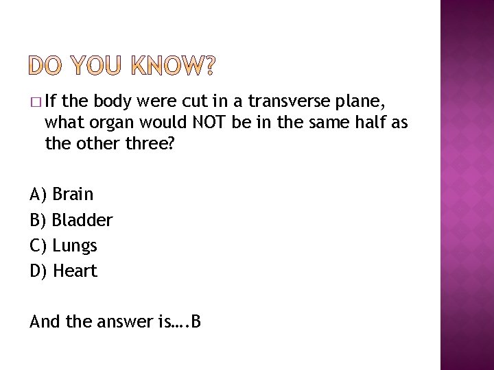 � If the body were cut in a transverse plane, what organ would NOT