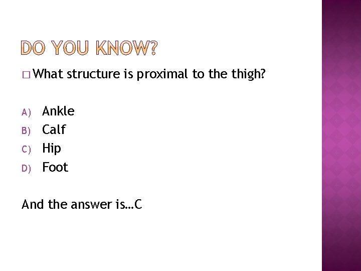 � What A) B) C) D) structure is proximal to the thigh? Ankle Calf