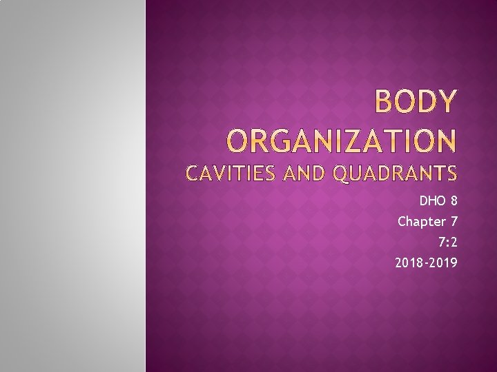 DHO 8 Chapter 7 7: 2 2018 -2019 