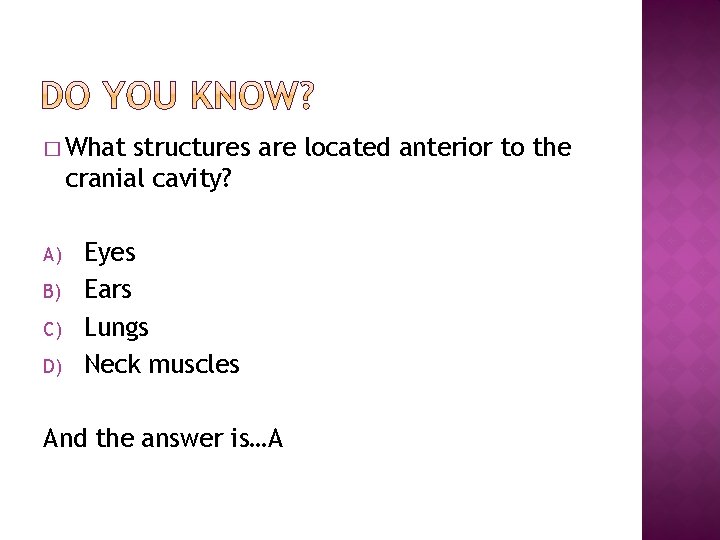 � What structures are located anterior to the cranial cavity? A) B) C) D)