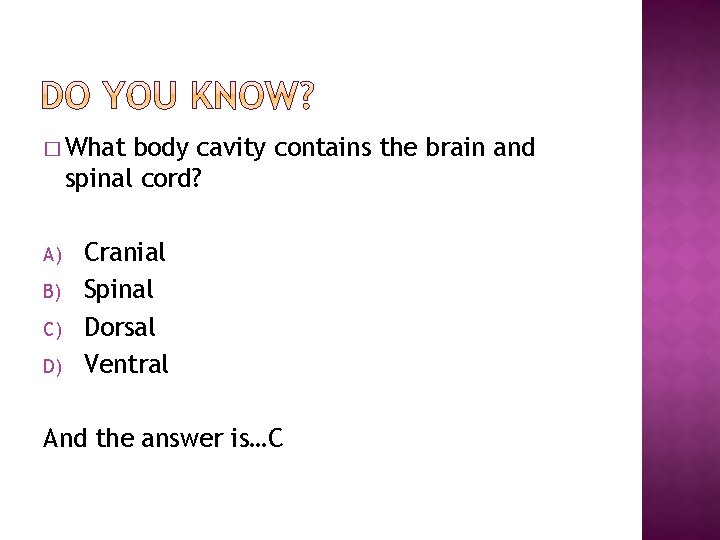 � What body cavity contains the brain and spinal cord? A) B) C) D)