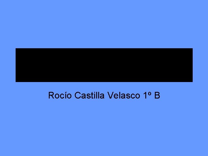 Rocío Castilla Velasco 1º B 