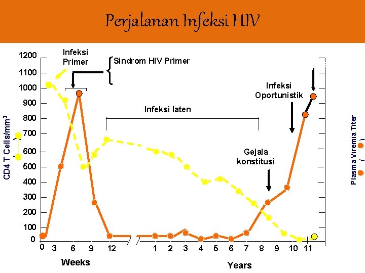 Perjalanan Infeksi HIV Infeksi Primer 1200 Sindrom HIV Primer Kematian 1100 Infeksi Oportunistik 1000
