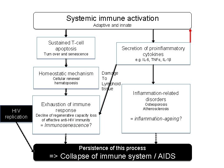 Systemic immune activation Adaptive and innate Sustained T-cell apoptosis Secretion of proinflammatory cytokines Turn