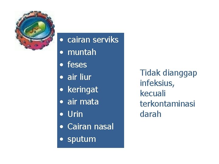  • • • cairan serviks muntah feses air liur keringat air mata Urin