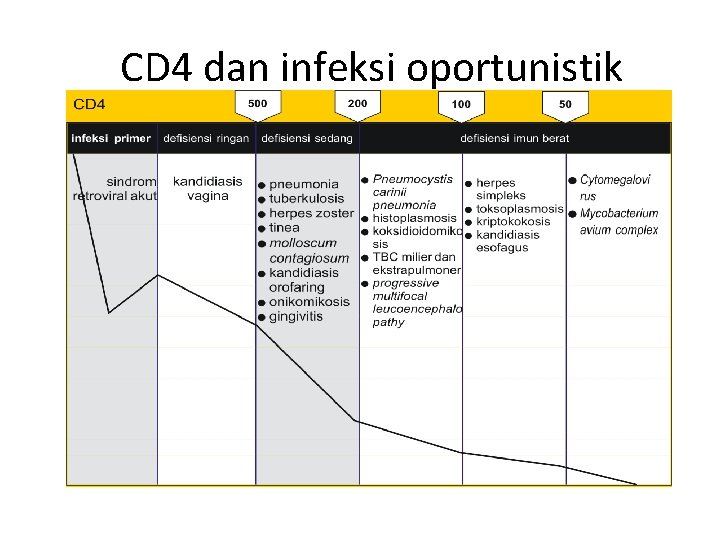 CD 4 dan infeksi oportunistik 