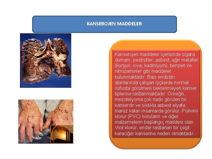 KANSEROJEN MADDELER Kanserojen maddeler içerisinde sigara dumanı, pestisitler, asbest, ağır metaller (kurşun, cıva, kadmiyum),