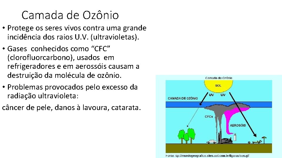 Camada de Ozônio • Protege os seres vivos contra uma grande incidência dos raios