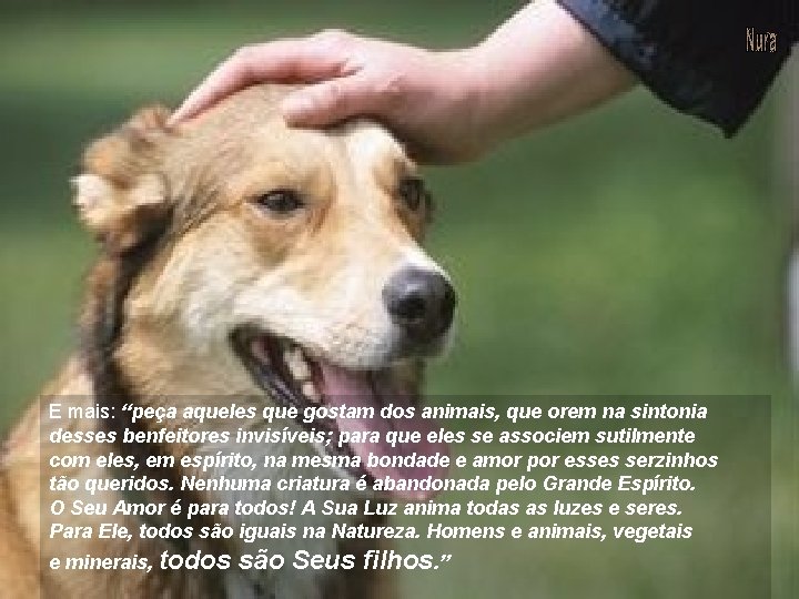 E mais: “peça aqueles que gostam dos animais, que orem na sintonia desses benfeitores