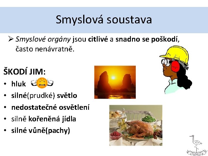 Smyslová soustava Ø Smyslové orgány jsou citlivé a snadno se poškodí, často nenávratně. ŠKODÍ