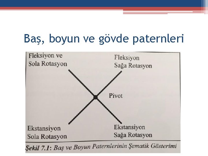 Baş, boyun ve gövde paternleri 