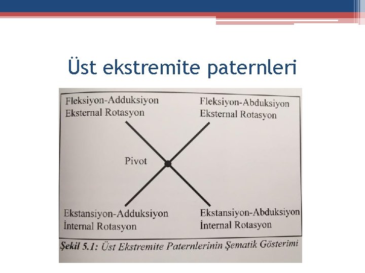 Üst ekstremite paternleri 