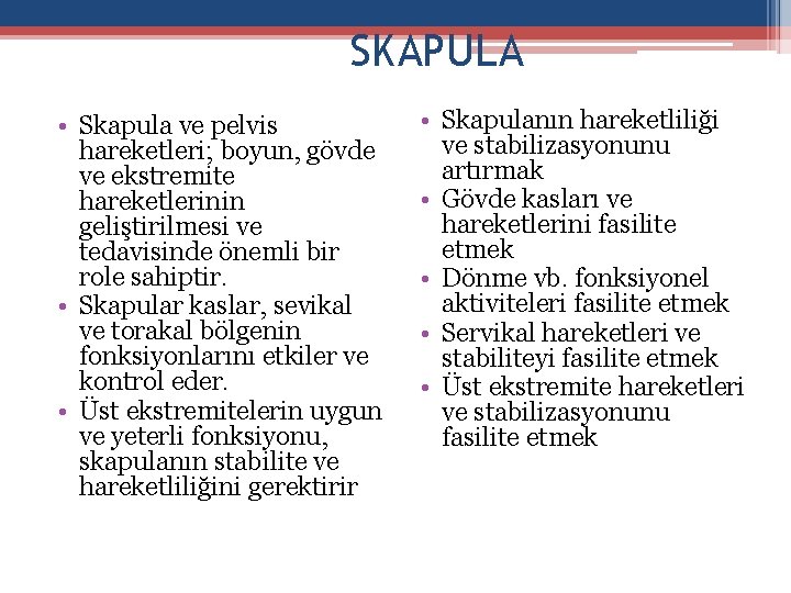 SKAPULA • Skapula ve pelvis hareketleri; boyun, gövde ve ekstremite hareketlerinin geliştirilmesi ve tedavisinde SKAPULA • Skapula ve pelvis hareketleri; boyun, gövde ve ekstremite hareketlerinin geliştirilmesi ve tedavisinde