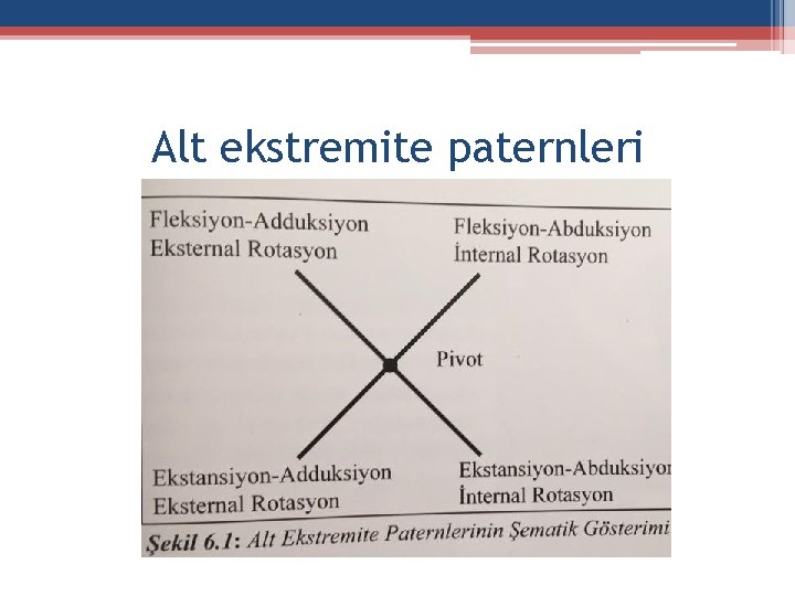 Alt ekstremite paternleri 