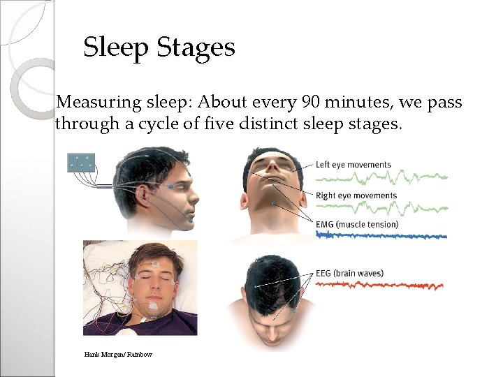 Sleep Stages Measuring sleep: About every 90 minutes, we pass through a cycle of