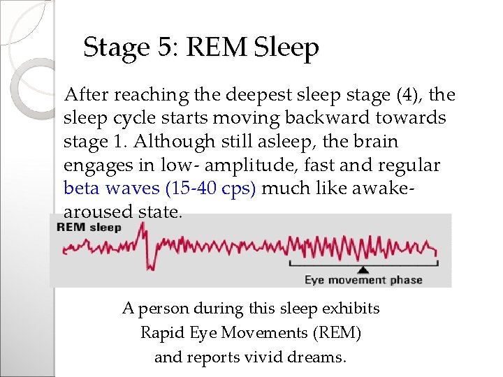 Stage 5: REM Sleep After reaching the deepest sleep stage (4), the sleep cycle