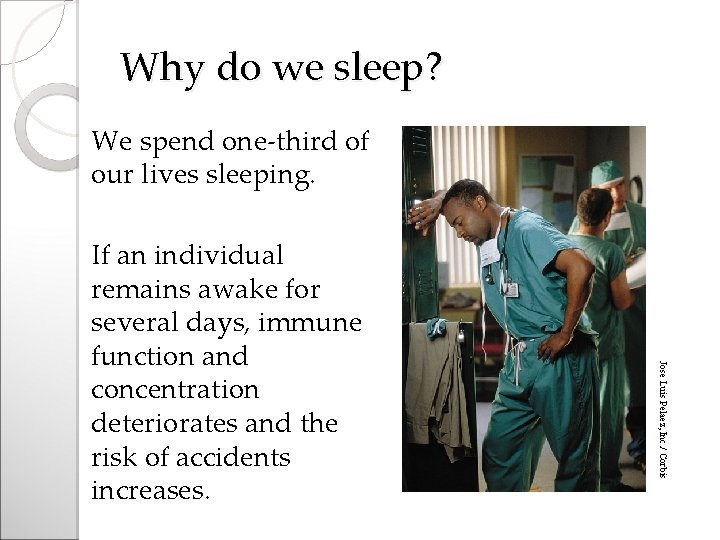 Why do we sleep? We spend one-third of our lives sleeping. Jose Luis Pelaez,
