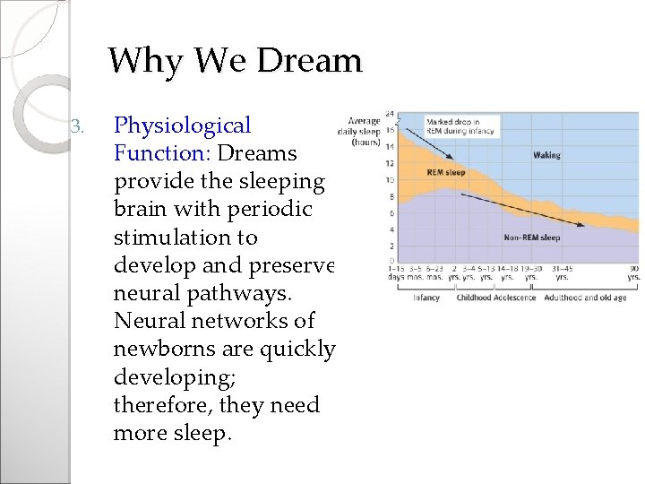 Why We Dream 3. Physiological Function: Dreams provide the sleeping brain with periodic stimulation