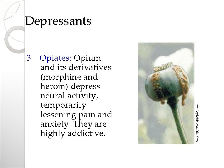 Depressants http: //opioids. com/timeline 3. Opiates: Opium and its derivatives (morphine and heroin) depress