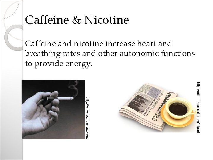 Caffeine & Nicotine Caffeine and nicotine increase heart and breathing rates and other autonomic