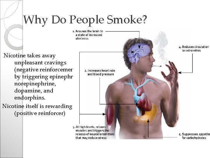 Why Do People Smoke? Nicotine takes away unpleasant cravings (negative reinforcement) by triggering epinephrine,
