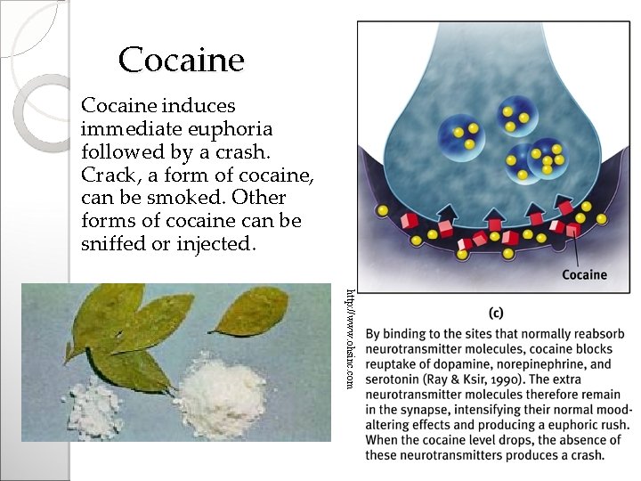 Cocaine induces immediate euphoria followed by a crash. Crack, a form of cocaine, can