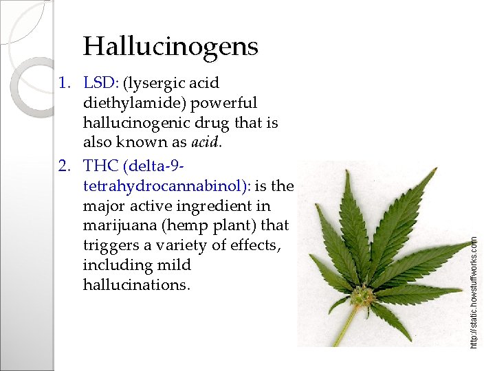 1. LSD: (lysergic acid diethylamide) powerful hallucinogenic drug that is also known as acid.