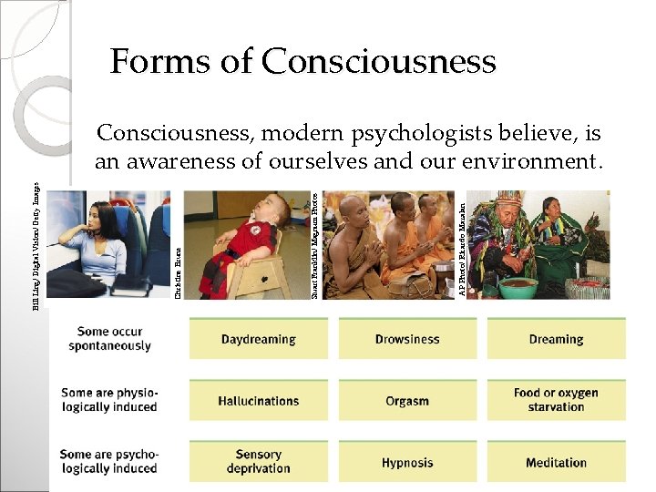 Forms of Consciousness AP Photo/ Ricardo Mazalan Stuart Franklin/ Magnum Photos Christine Brune Bill