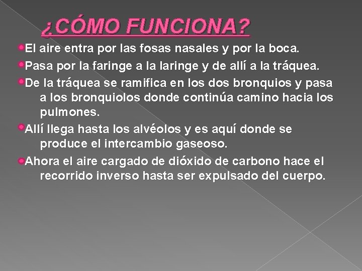 ¿CÓMO FUNCIONA? El aire entra por las fosas nasales y por la boca. Pasa