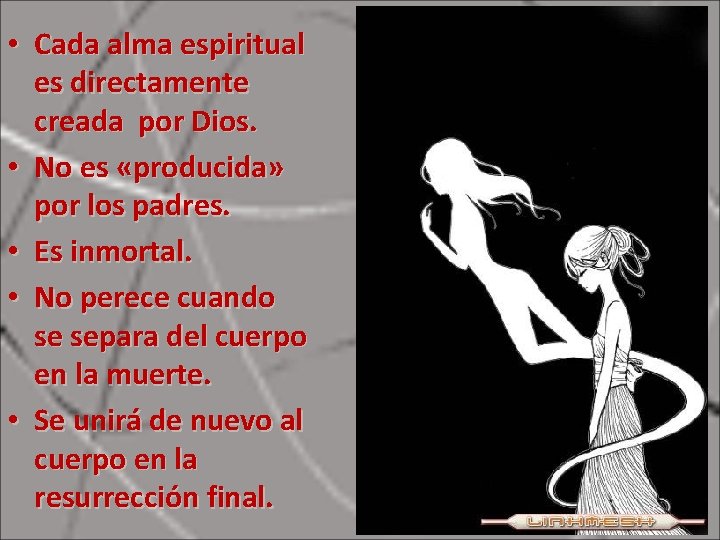  • Cada alma espiritual es directamente creada por Dios. • No es «producida»