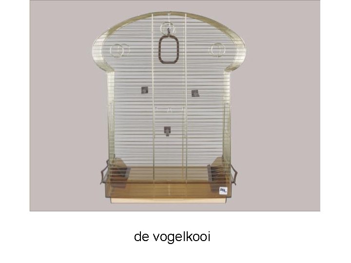 de vogelkooi 