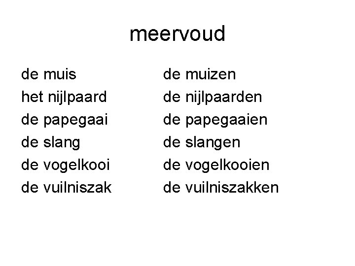 meervoud de muis het nijlpaard de papegaai de slang de vogelkooi de vuilniszak de