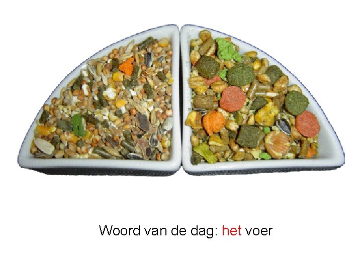 Woord van de dag: het voer 