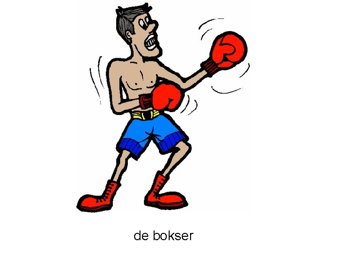 de bokser 