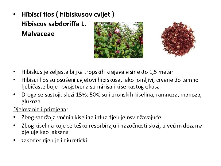  • Hibisci flos ( hibiskusov cvijet ) Hibiscus sabdoriffa L. Malvaceae • Hibiskus