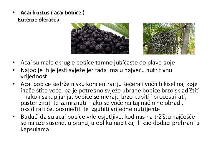  • Acai fructus ( acai bobice ) Euterpe oleracea • Acai su male