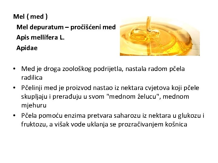 Mel ( med ) Mel depuratum – pročišćeni med Apis mellifera L. Apidae •