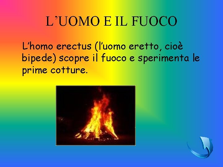 L’UOMO E IL FUOCO L’homo erectus (l’uomo eretto, cioè bipede) scopre il fuoco e