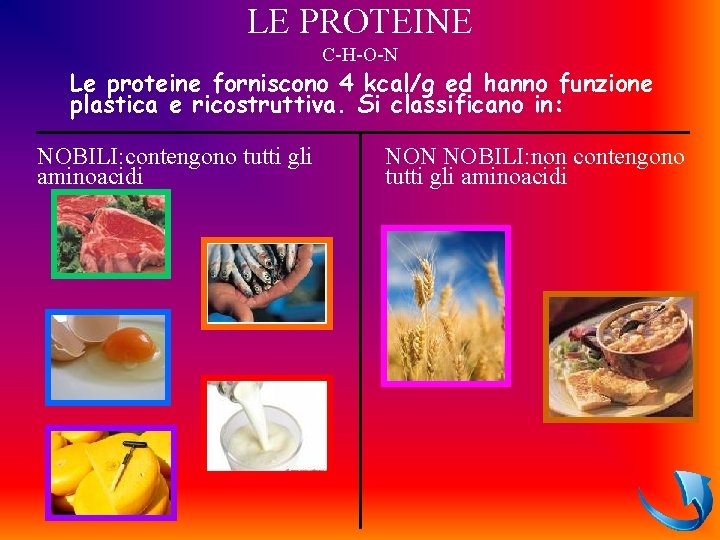 LE PROTEINE C-H-O-N Le proteine forniscono 4 kcal/g ed hanno funzione plastica e ricostruttiva.