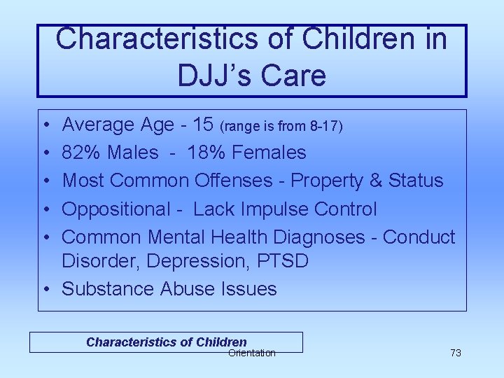 Characteristics of Children in DJJ’s Care • • • Average Age - 15 (range