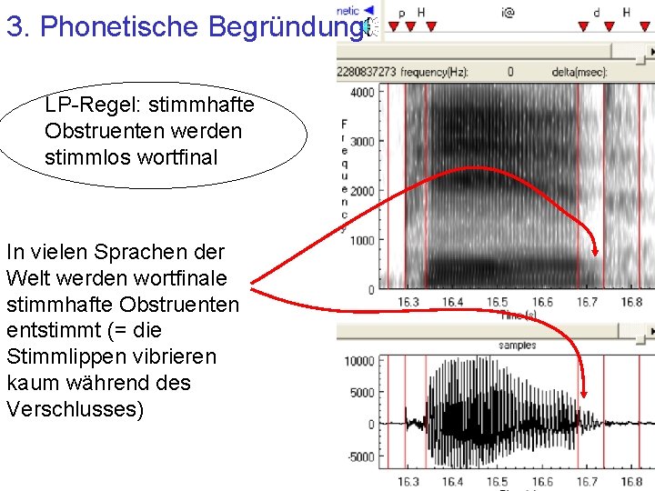 3. Phonetische Begründung LP-Regel: stimmhafte Obstruenten werden stimmlos wortfinal In vielen Sprachen der Welt