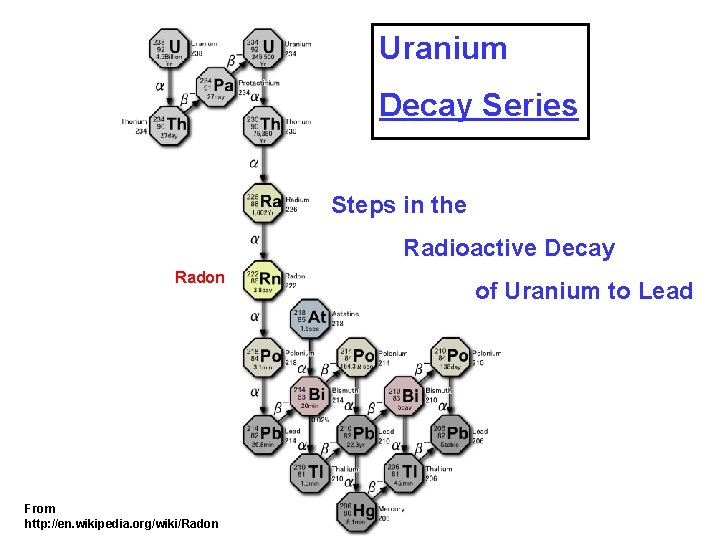 Uranium Decay Series Steps in the Radioactive Decay Radon From http: //en. wikipedia. org/wiki/Radon