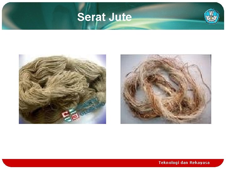 Serat Jute Teknologi dan Rekayasa 