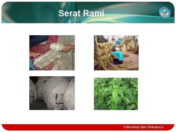 Serat Rami Teknologi dan Rekayasa 