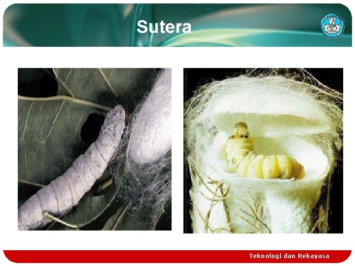 Sutera Teknologi dan Rekayasa 